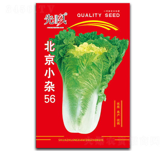 ����С�s56-�ײ˷N��-���L(f��ng)