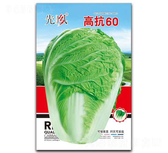 �߿�60-�ײ˷N��-���L(f��ng)