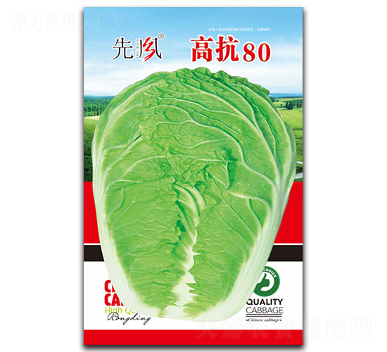 �߿�80-�ײ˷N��-���L(f��ng)