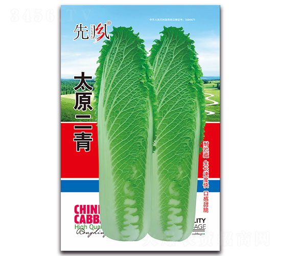 ̫ԭ����-�ײ˷N��-���L(f��ng)