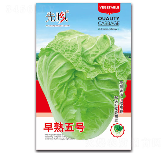 ����5̖(h��o)-�ײ˷N��-���L(f��ng)