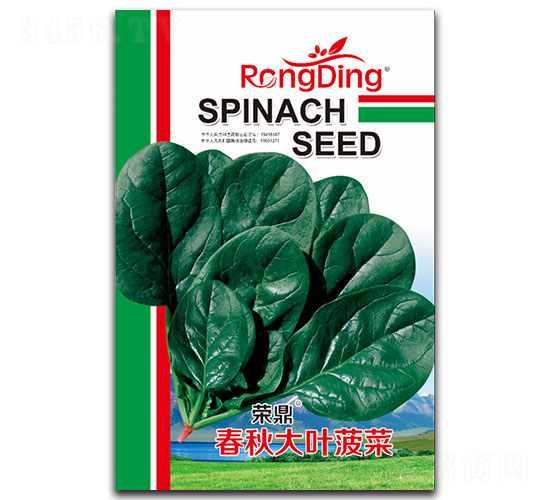 �s��������~����-���˷N��-���L