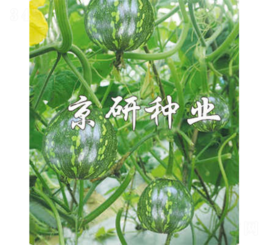 ����3̖-�ϹϷN��-����