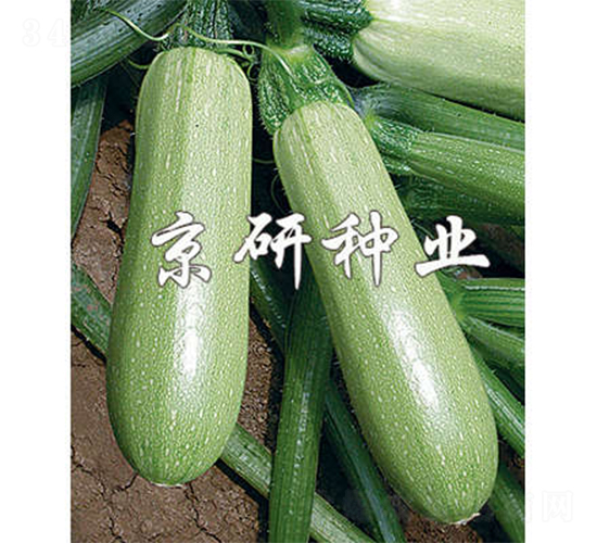 ����3̖-�����J�N��-����