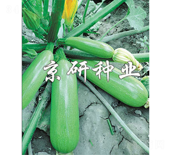 ����6̖-�����J�N��-����