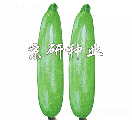 ���8̖-�����J�N��-����