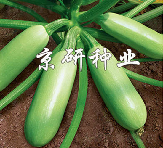 ����-�����J�N��-����