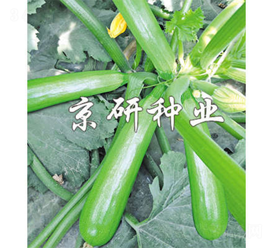 ����CRV4-2-�����J�N��-����