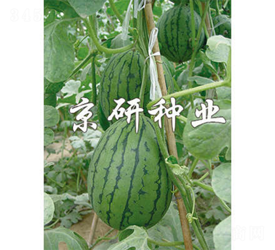 ���f-���ϷN��-����