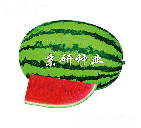 ����6̖-���ϷN��-����