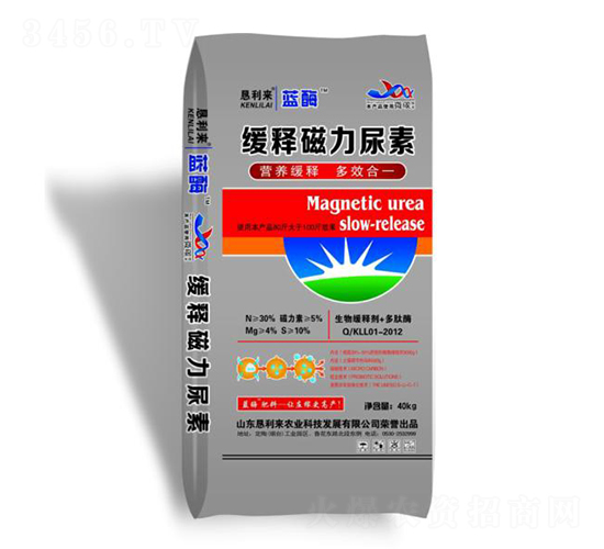 ��ጴ�������-������