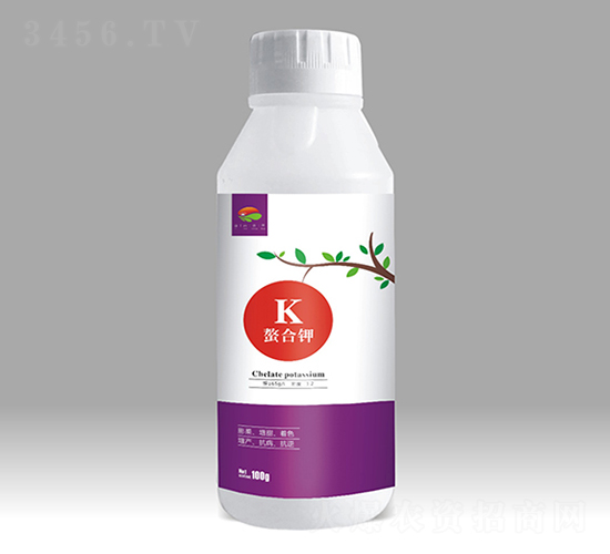 �����-��������