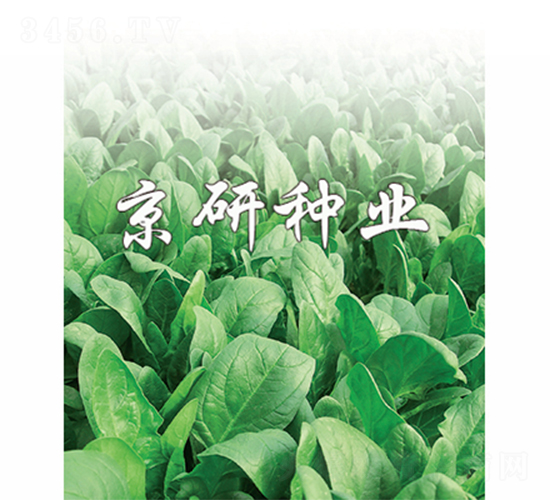 ����1̖(h��o)-���˷N��-����