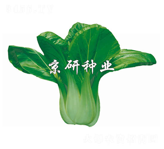 ���G7̖(h��o)-С�ײ˷N��-����