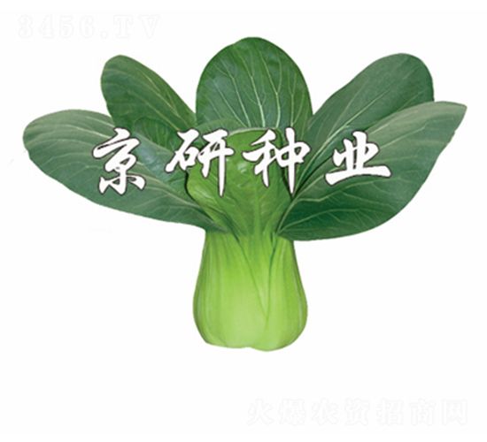 ���G3̖-С�ײ˷N��-����