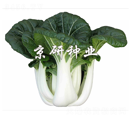 ���̰�3̖-С�ײ˷N��-����