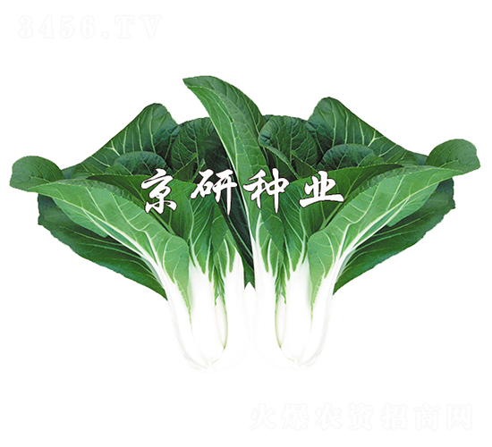 ���к��~5̖-С�ײ˷N��-����