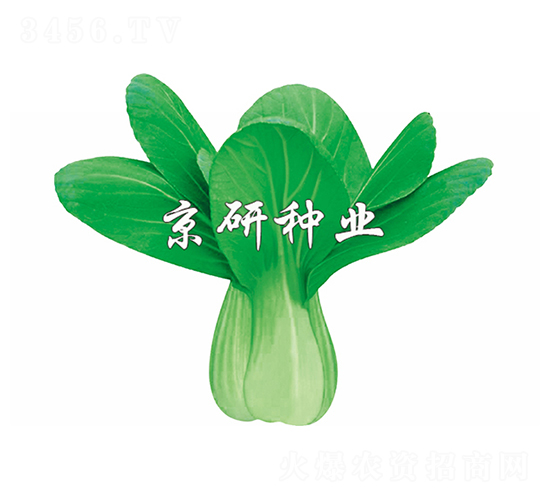 ����1̖-С�ײ˷N��-����