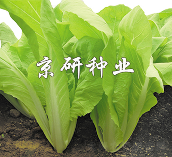 �����S�~-��˷N��-����