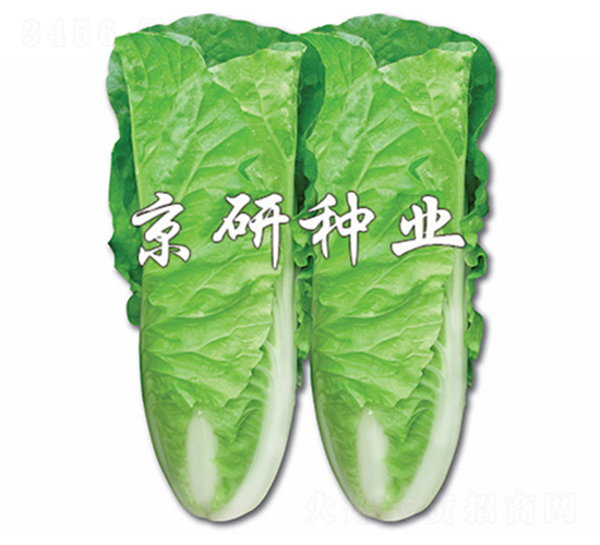 ���п��2̖(h��o)-��˷N��-����