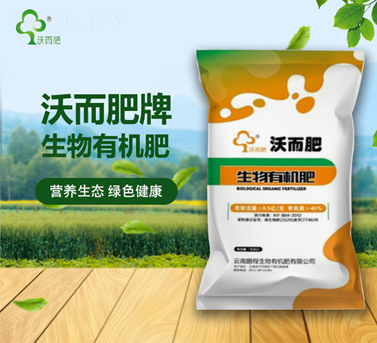 �����ЙC(j��)��-�ֶ���-�i������