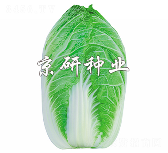 ����CR2-�ײ˷N��-����