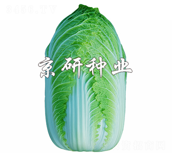 ����CR3-�ײ˷N��-����