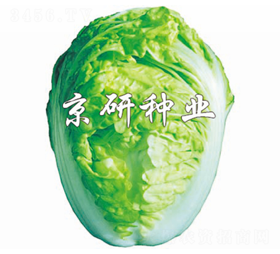 ����2̖-�ײ˷N��-����