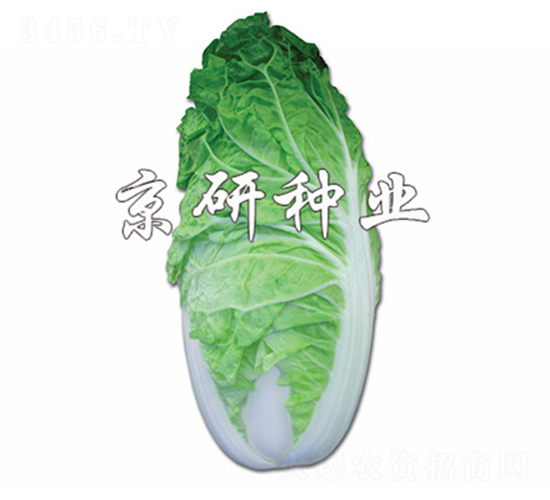 ����5̖-�ײ˷N��-����