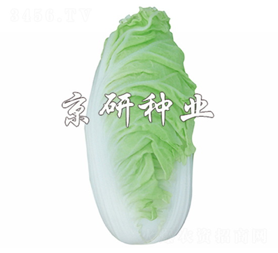 ����6̖-�ײ˷N��-����