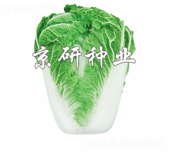 ����14-19-�ײ˷N��-����