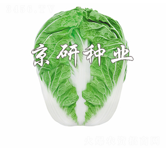 ����602-�ײ˷N��-����