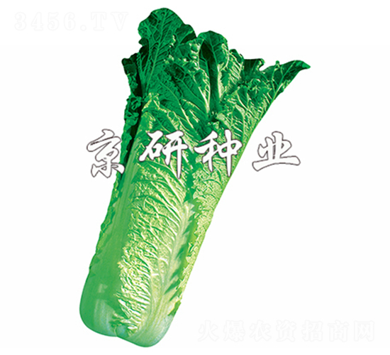 ����70̖-�ײ˷N��-����