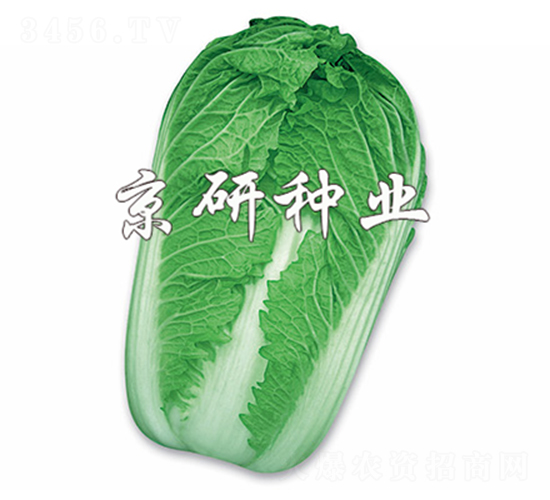 ����3̖-�ײ˷N��-����