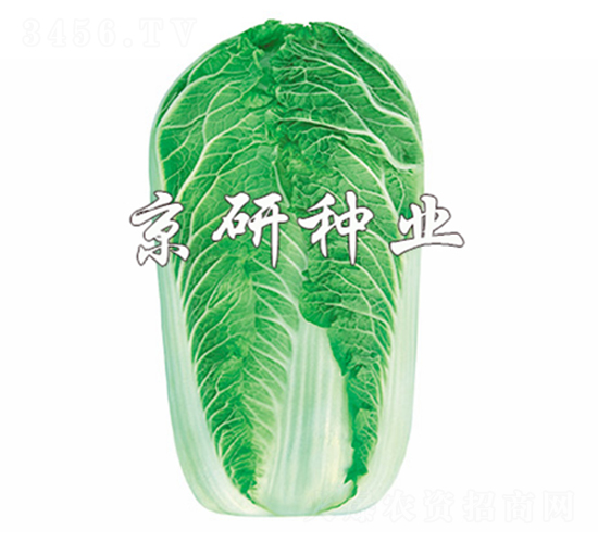 ����5̖-�ײ˷N��-����