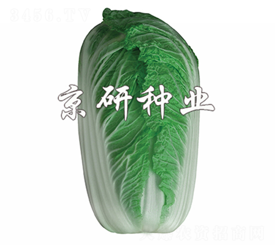 �����ۼt2̖(h��o)-�ײ˷N��-����