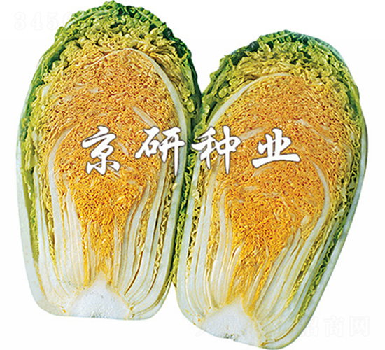 �����ۼt��-�ײ˷N��-����