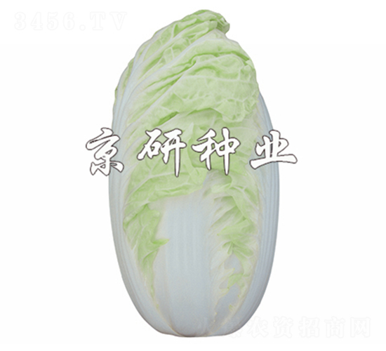 ����4̖(h��o)-�ײ˷N��-����