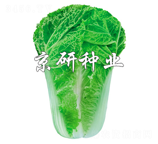 ����15-11-�ײ˷N��-����