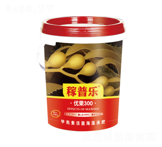 ��(y��u)��300-���՘�(l��)-��(r��n)�ɷʘI(y��)