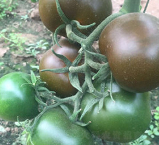 �ڴu-���ѷN��-���A�N�I(y��)