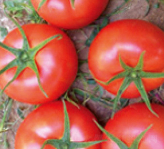 ˼����1018F1-���ѷN��-���A�N�I(y��)