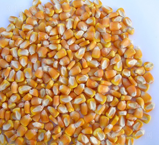 ��̩15̖(h��o)-���׷N��-���r(n��ng)�l(f��)