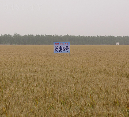 ����5̖(h��o)-С���N��-���r(n��ng)�l(f��)