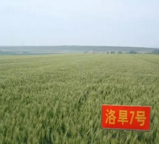 �庵7̖-С���N��-���r(n��ng)�l(f��)