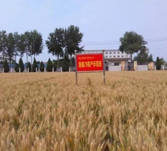 ����29-С���N��-���r(n��ng)�l(f��)