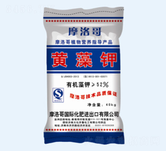 52%�S���-���R��