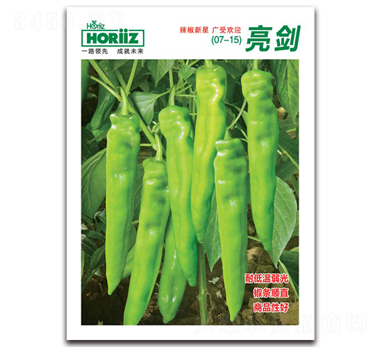 ����-�����N��-����˹