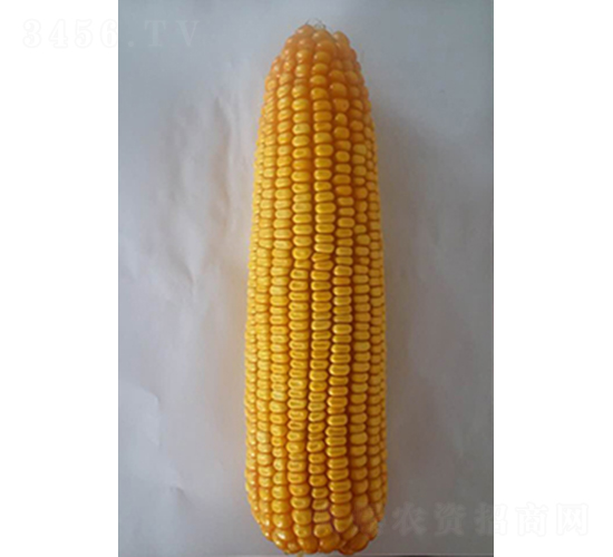 ����9̖-���׷N��-���N�I(y��)