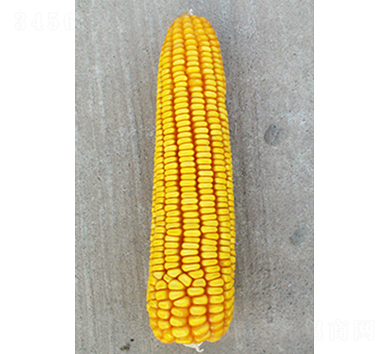 ���622-���׷N��-���N�I(y��)